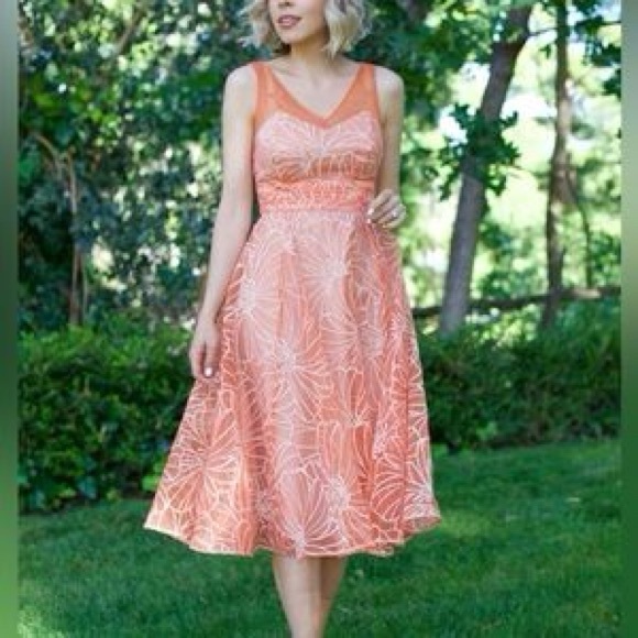 Anthropologie Calendula Dress by Moulinette Soeurs Organza Floral Sz 6 Spring! - Picture 9 of 10
